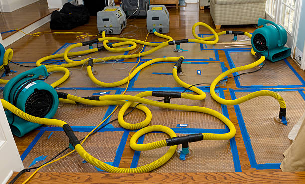 Professional Crawl Space Water Removal technician working in Diamond, IL